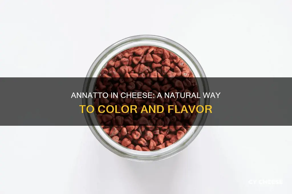 how to use annatto in cheese