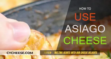 The Ultimate Guide to Asiago Cheese: Recipes and More