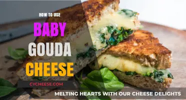 Creative Culinary Uses for Baby Gouda Cheese