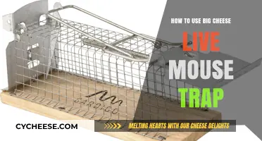 The Big Cheese Live Mouse Trap: A Step-by-Step Guide