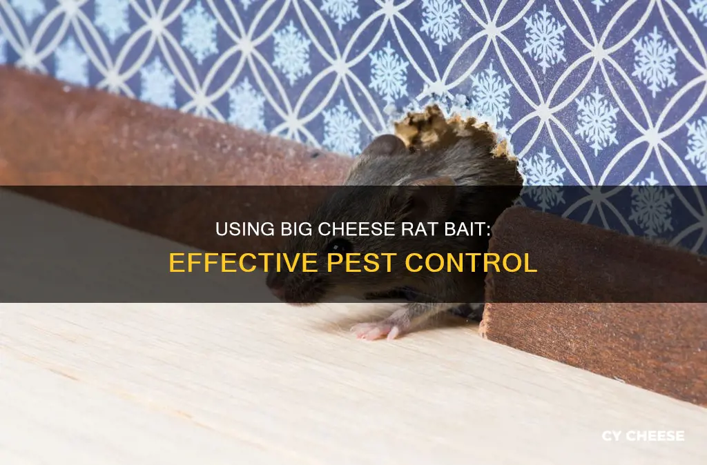 how to use big cheese rat bait