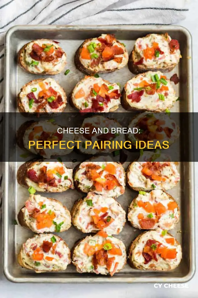 how to use bread cheese