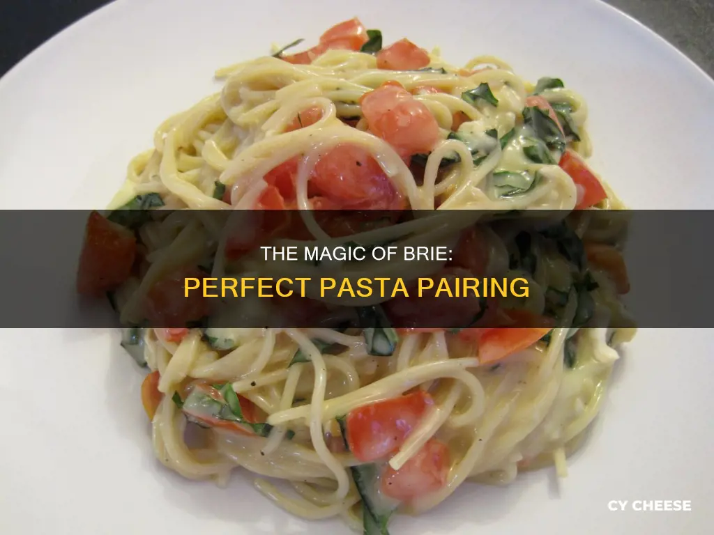 how to use brie cheese in pasta