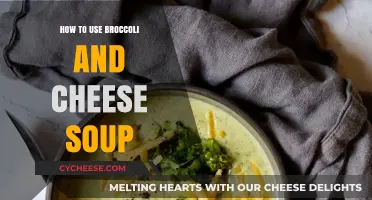 Broccoli-Cheese Soup: Creative Uses and Recipes