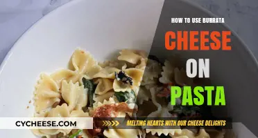Burrata Cheese: The Ultimate Pasta Topping