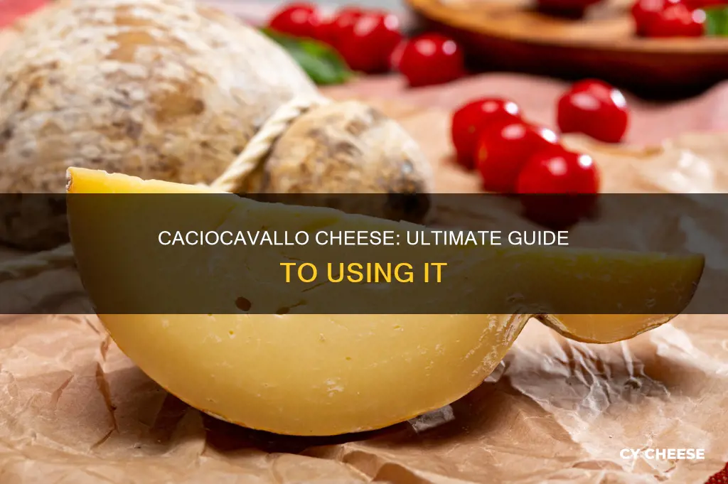 how to use caciocavallo cheese