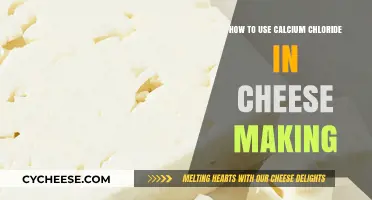 Calcium Chloride's Role in Cheese Making