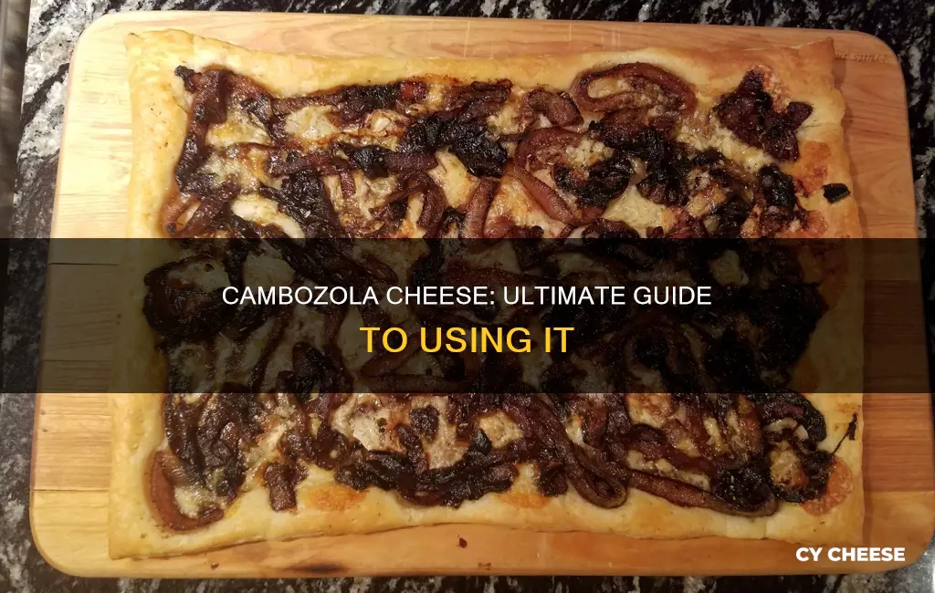 how to use cambozola cheese