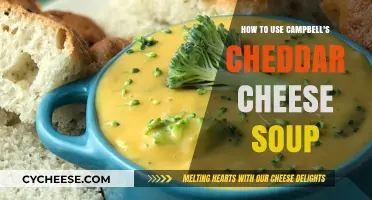 Campbell's Cheddar Cheese Soup: Creative Comfort Food Ideas