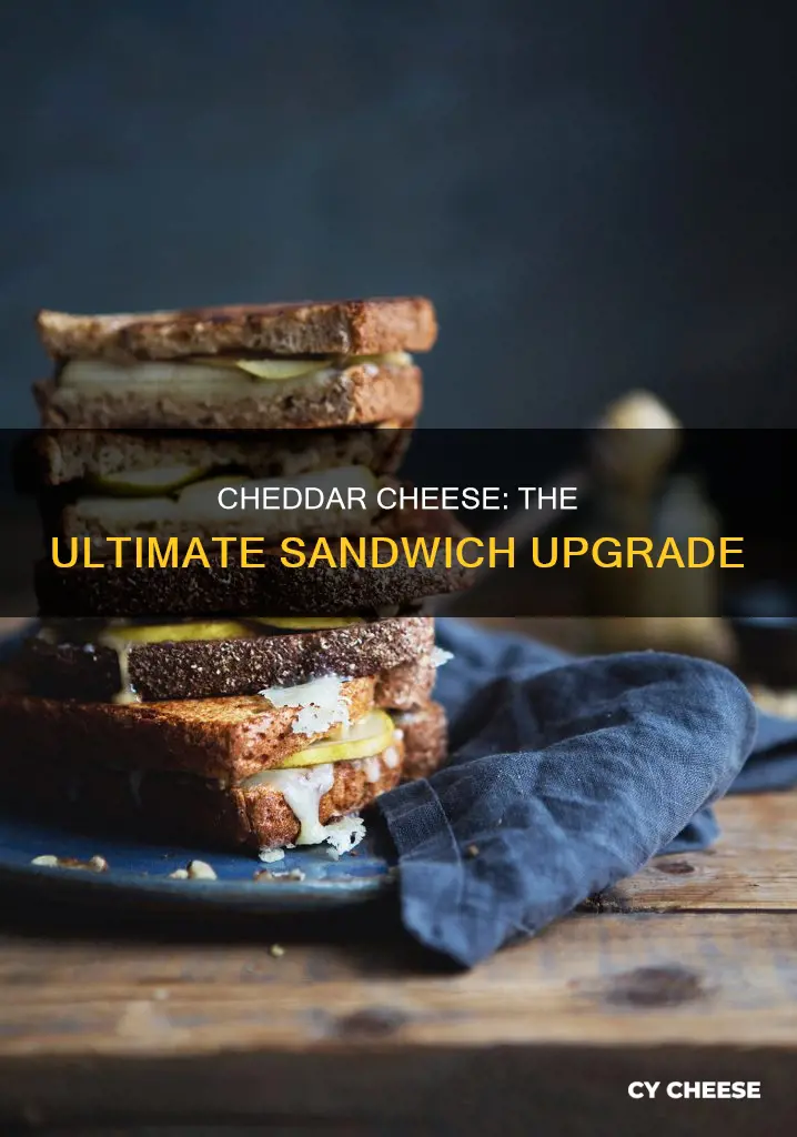 how to use cheddar cheese in sandwich