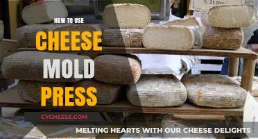 The Ultimate Guide to Using Cheese Mold Press