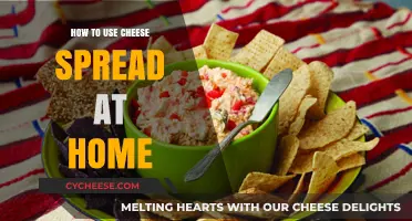 Cheese Spread: Creative Ways to Use at Home