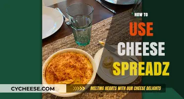 Cheese Spreads: Creative Ways to Use Them