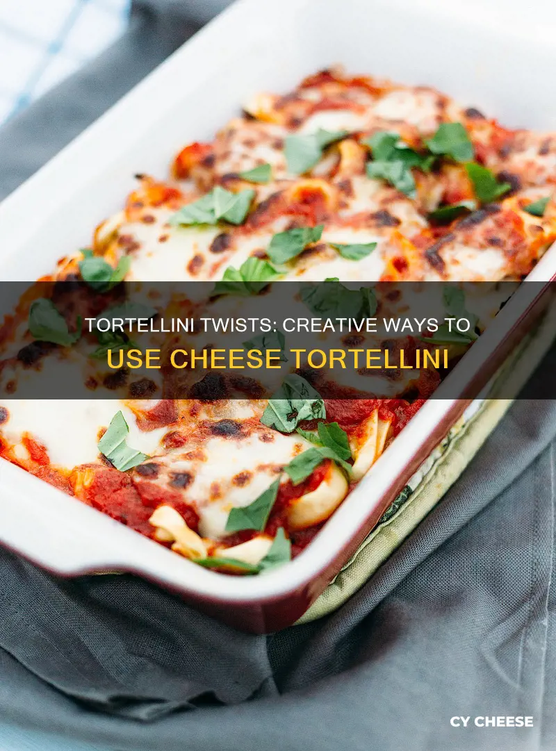 how to use cheese tortellini