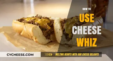 Cheese Whiz: Ultimate Guide to Using It