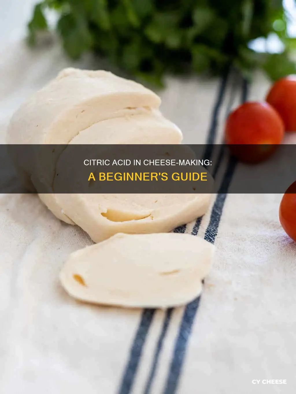 how to use citric acid to make cheese