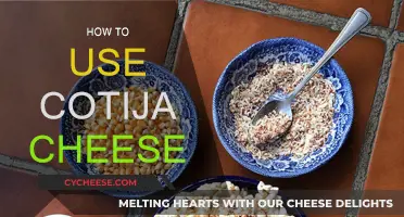 Unlocking Cotija Cheese's Magic in the Kitchen