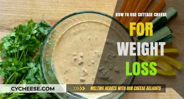 Cottage Cheese Weight Loss: Healthy Recipes and Tips to Shed Pounds