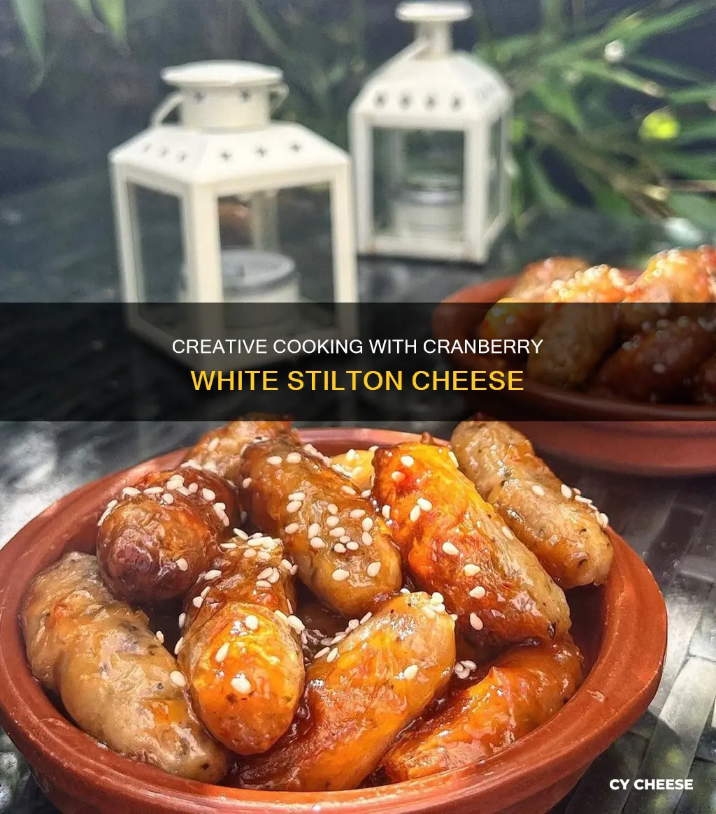 how to use cranberry white stilton cheese in cooking