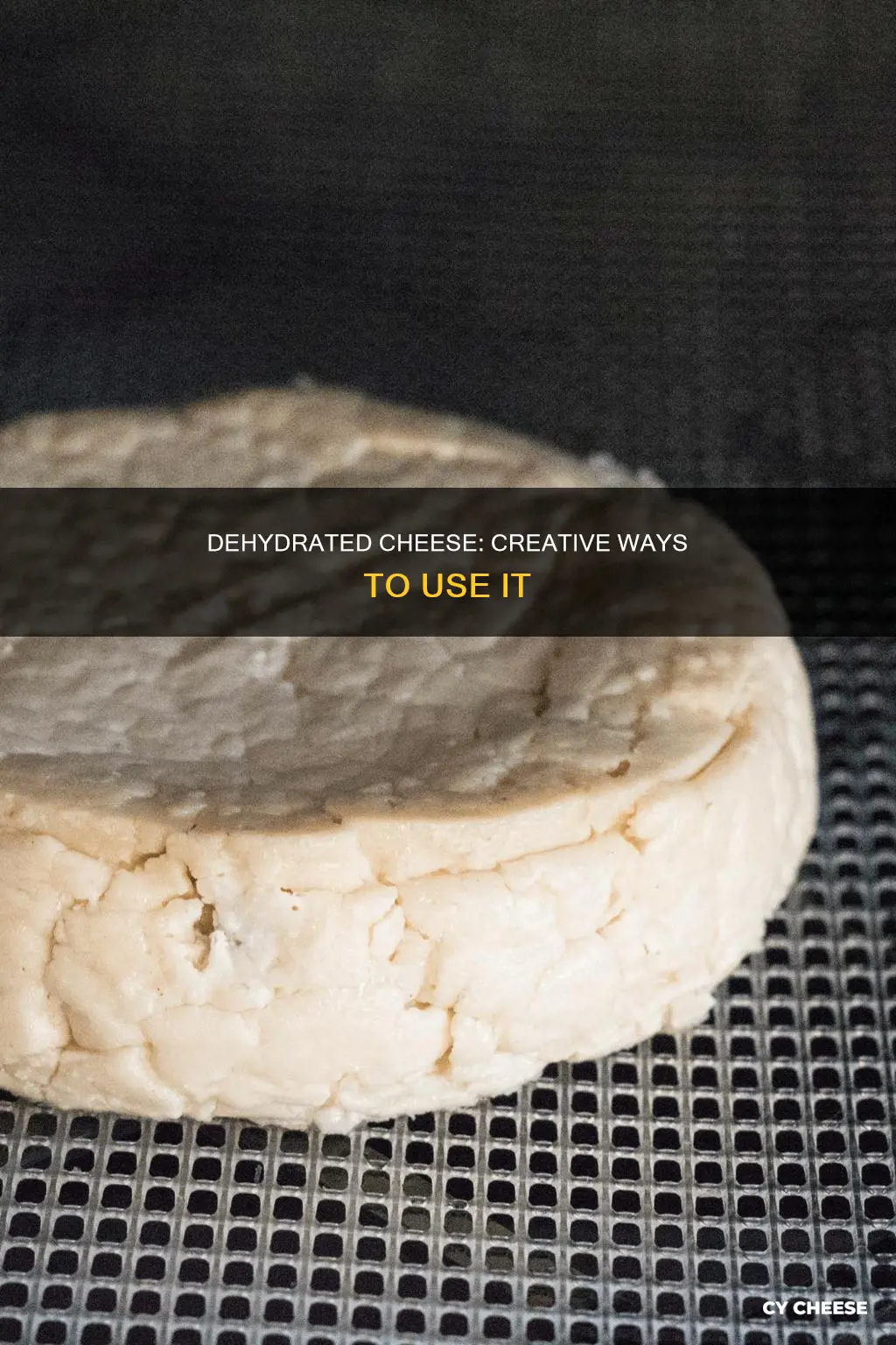 how to use dehydrated cheese