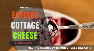 Creative Ways to Safely Use Expired Cottage Cheese in Recipes