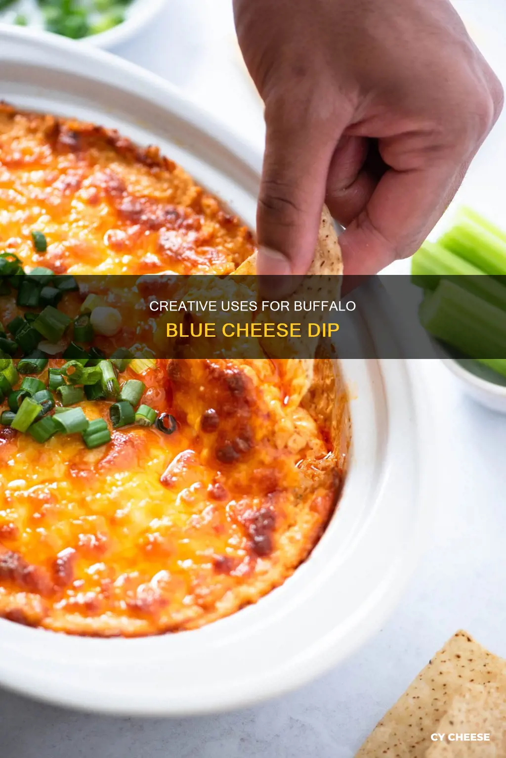 how to use extra buffalo blue cheese dip