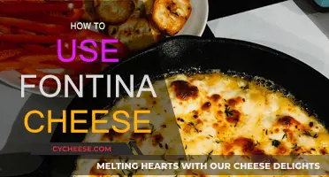 Explore Fontina Cheese: Recipes and Pairings