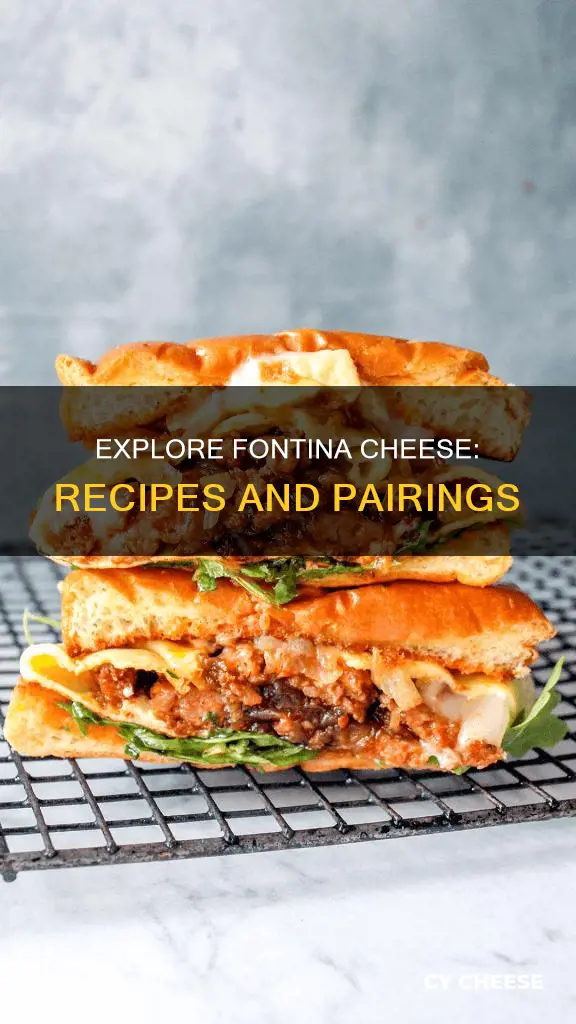 how to use fontina cheese