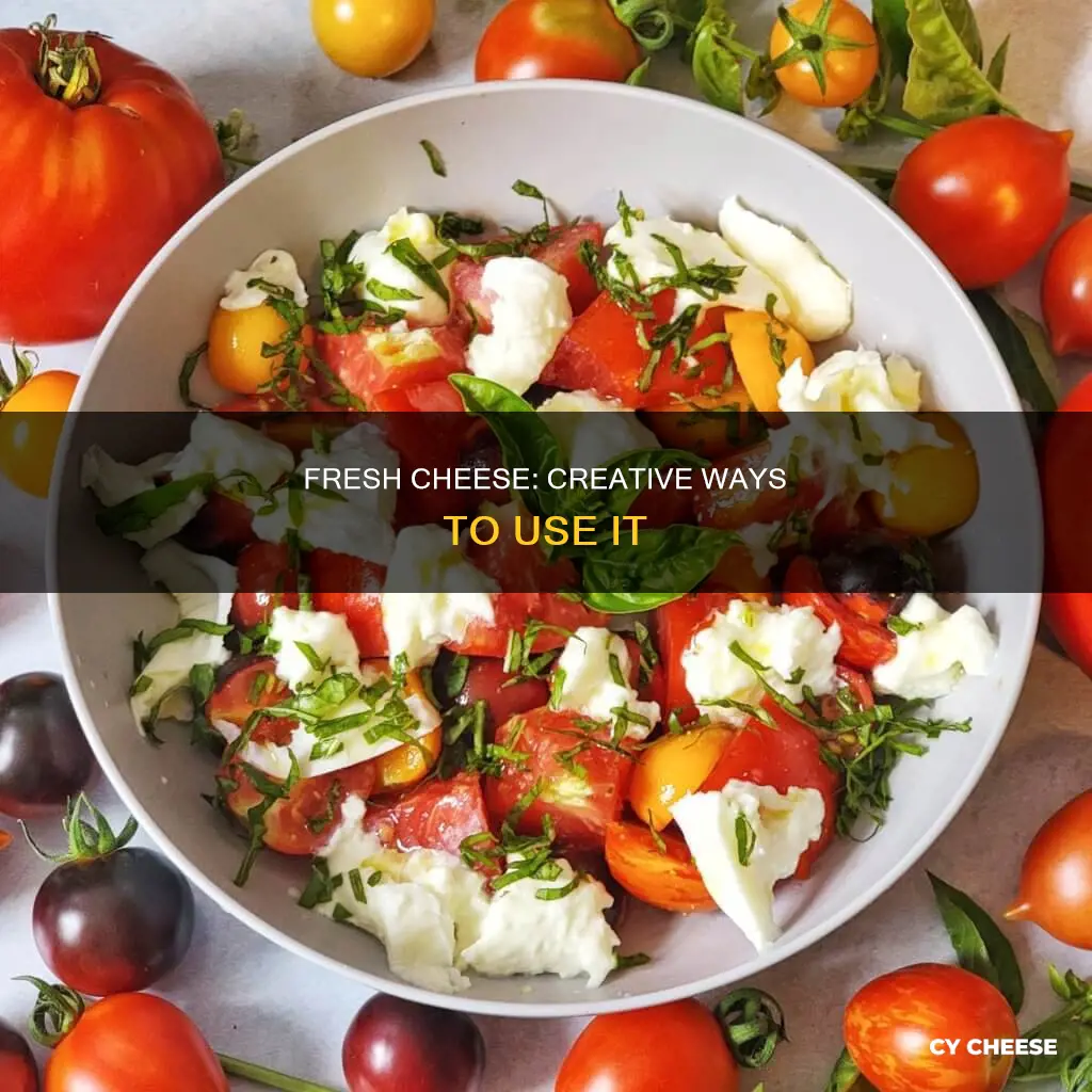 how to use fresh cheese