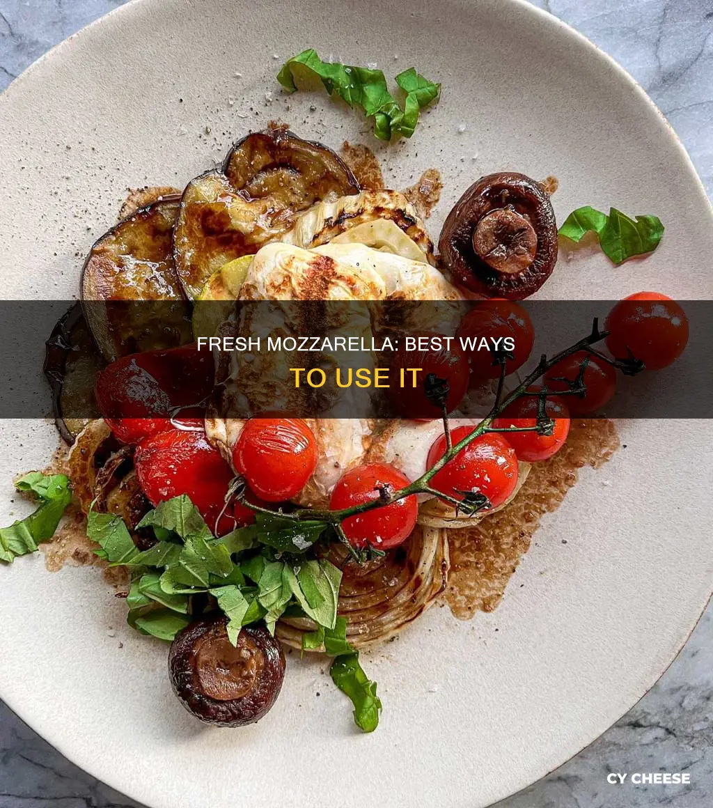how to use fresh mozzarella cheese