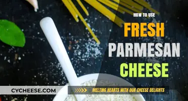 Unlocking Parmesan Cheese: Fresh Ways to Use It