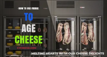 Aging Cheese: Using Your Fridge for Perfection