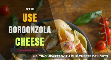 Gorgonzola Cheese: A Beginner's Guide to Using It