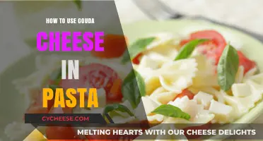 Gouda Pasta: A Cheesy Delight