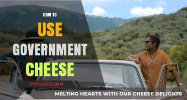 Cheese for All: Creative Ways to Use Government Cheese