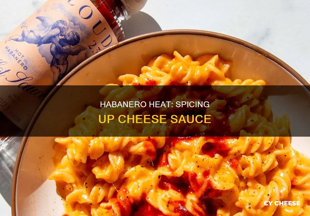 how to use habanero pepper in cheese sauce