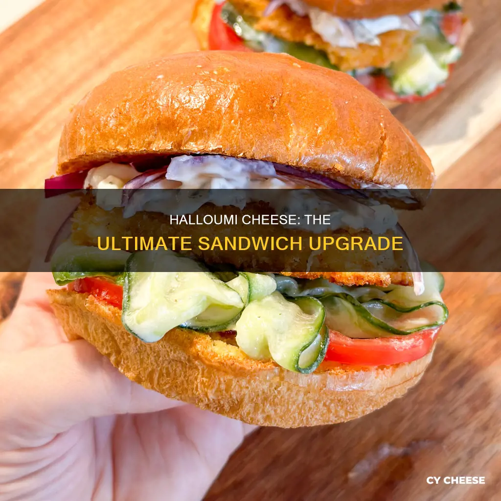 how to use halloumi cheese in sandwich