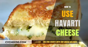 Delicious Havarti: Creative Ways to Use This Cheese