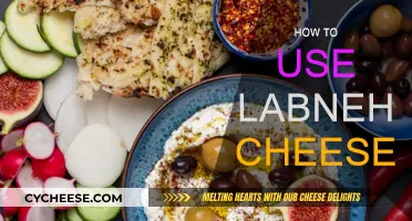 Delicious Ways to Use Labneh Cheese