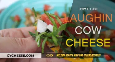 Creative Ways to Use Laughing Cow Cheese