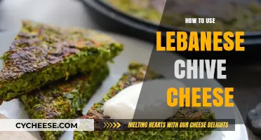 Lebanese Chive Cheese: Creative Culinary Uses