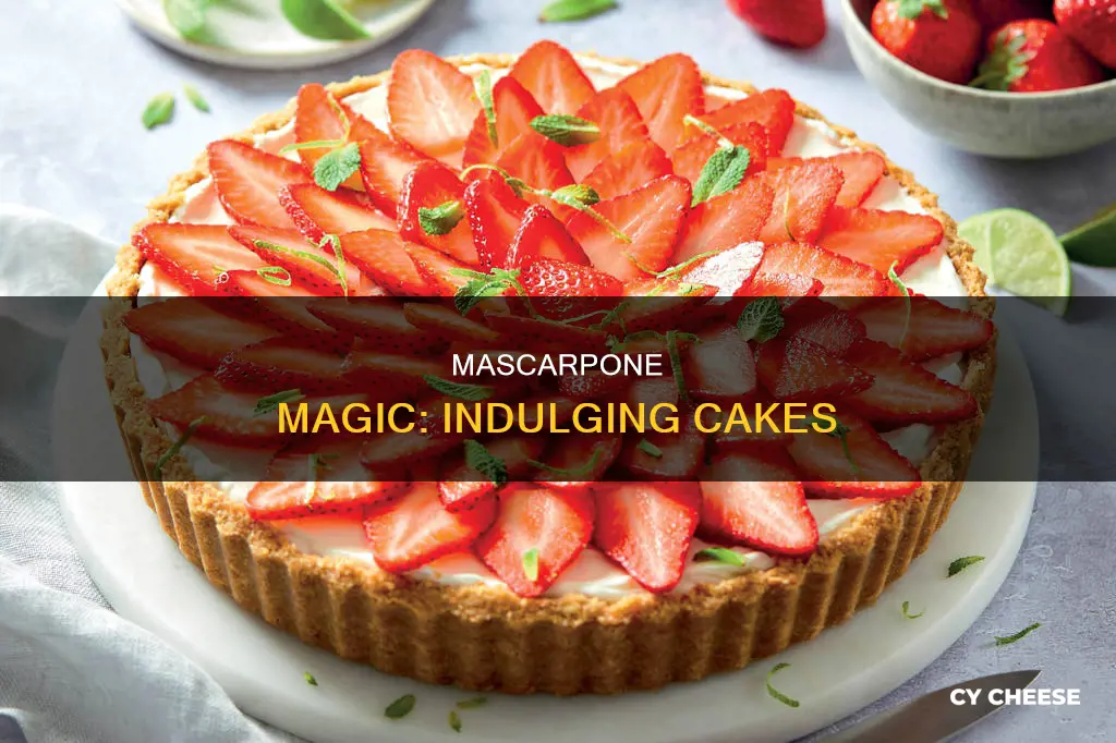 how to use mascarpone cheese in cakes