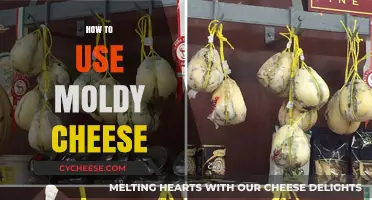 Creative Uses for Moldy Cheese