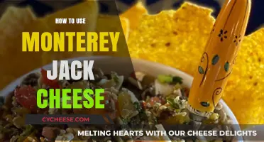 The Ultimate Guide to Monterey Jack Cheese
