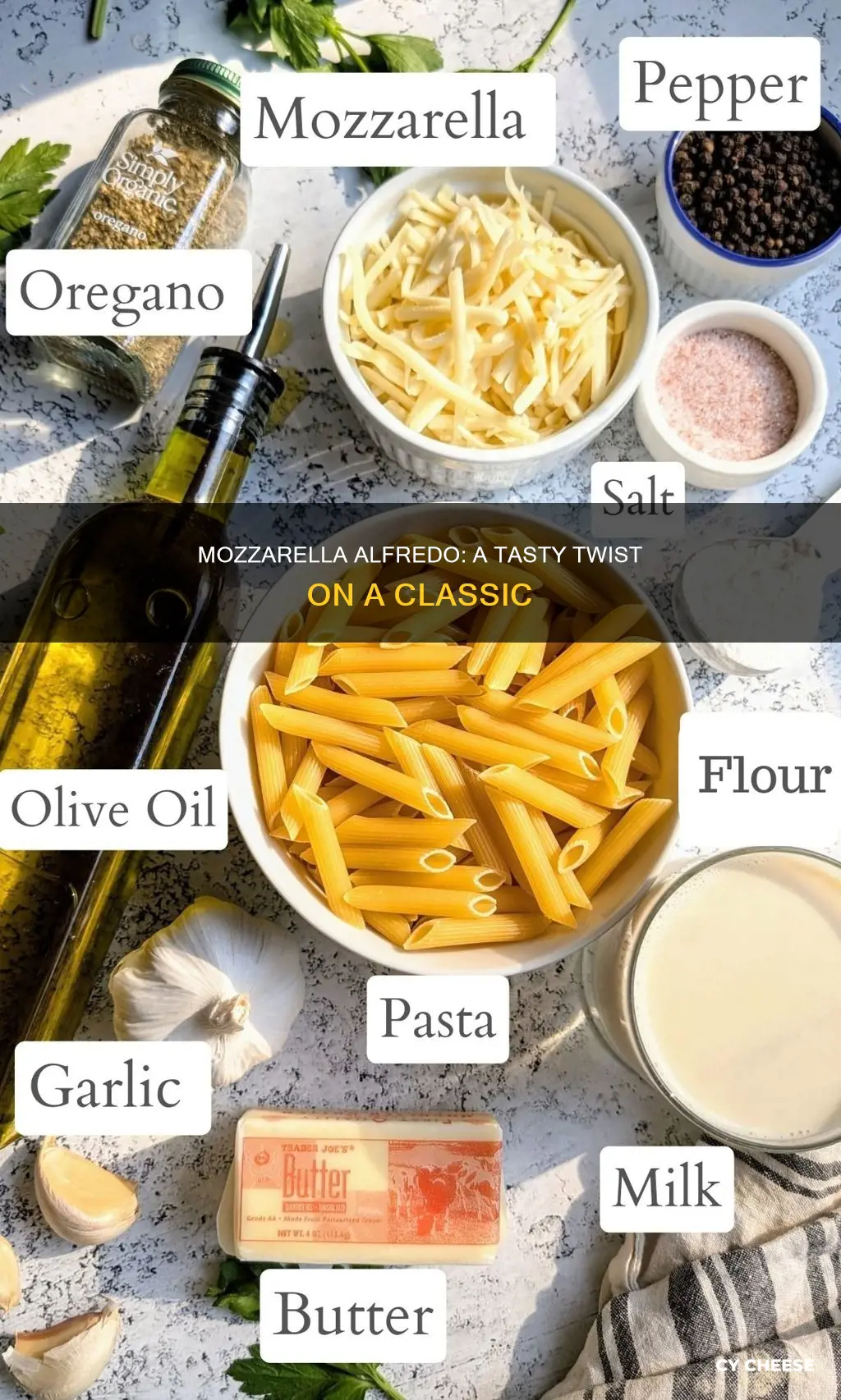 how to use mozzarella cheese in alfredo sauce