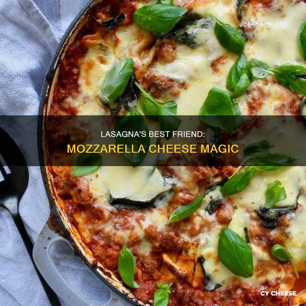 how to use mozzarella cheese in lasagna
