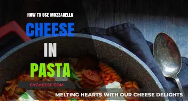 Mozzarella Magic: Elevating Pasta with Cheese