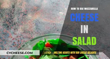 Mozzarella Magic: Elevating Salads with Cheese