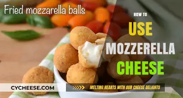 Mozzarella Magic: Creative Ways to Use This Cheese