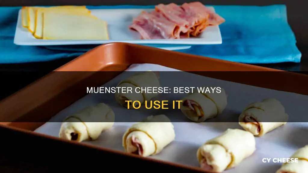 how to use muenster cheese